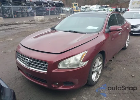 2009 Nissan Maxima 3.5 Sv из США, поврежденный, VIN 1N4AA51E69C827303